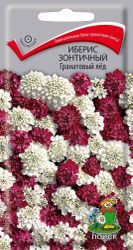 Семена ПОИСК Иберис зонтичный Гранатовый лед, вид