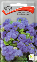 Семена ПОИСК Агератум Голубая норка, 0,5г, картинка