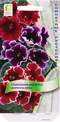 Семена цветов ПОИСК Глоксиния Импресс Формула микс, детальное фото