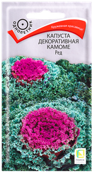 Семена цветов ПОИСК Капуста декоративная Камоме Ред, картинка