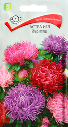 Семена ЦВЕТЫ ЦВ Астра игл Жар-птица, 0,3г, изображение