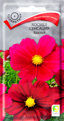 Семена ЦВЕТЫ ЦВ Космея Сенсация, красная, 0,3г, картинка