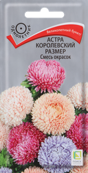 Семена ПОИСК Астра Королевский размер, смесь окрасок, 0,1г, фотография