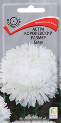 Семена ПОИСК Астра Белая, 0,1г, изображение