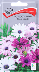 Семена ПОИСК Остеоспермум, смесь окрасок, 0,1г, картинка