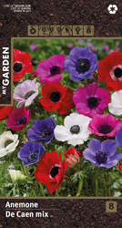 Луковицы MY GARDEN Анемона Де Каен микс, 8шт, фото