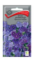 Семена ПОИСК Флокс друммонда Красотка в голубом, 0,1г, картинка