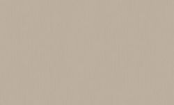 ОБОИ виниловые ERISMANN Basic Etel  60980-06 1,06х10,05м, вид