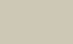 ОБОИ виниловые ERISMANN Basic Etel  60980-04 1,06х10,05м, вид