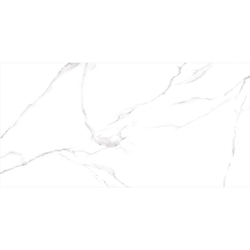 Керамогранит Alma Ceramica Carrara white 60X120 см 1,44 м², детальное фото