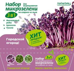 Набор для выращивания микрозелени 3 в 1 12,5 г 4640146942954, фото