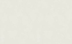 Обои Silk ER 60731-03 1,06х10,05, картинка