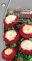 Семена Астра Превосходный Гасфорд 0,2г, картинка