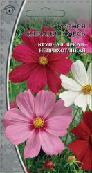 Семена Космея Сенсация смесь 0,5 гр, вид