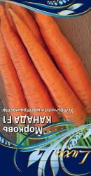 Семена Моркови Канада F1 0,5 г, изображение