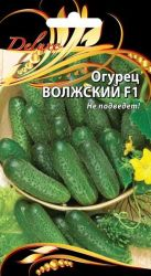 Семена Огурца Волжский F1 0,2 г, фото