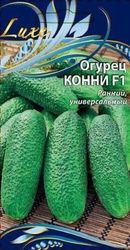 Семена Огурца Конни F1 0,25 г, крупный план