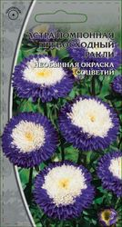 Семена Астра Превосходный Ракли 0,2г, фотография