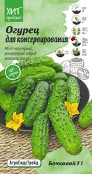 Семена Огурца Бочковой АСТ 0,25 г, фото