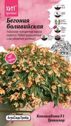 Семена БЕГОНИЯ КОПАКАБАНА АСТ 5ШТ, детальное фото