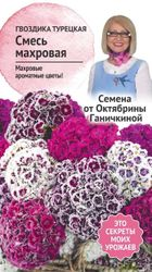 Семена Гвоздика турецкая Смесь махровая 0,2 г Семена от Октябрины Ганичкиной, фото