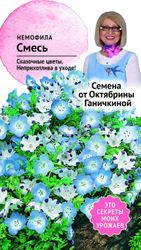 Семена Немофилы Октябрина Ганичкина Смесь 0,2 г, изображение