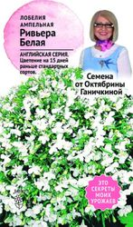 Семена Лобелии Октябрина Ганичкина Ривьера белая 10 шт, картинка