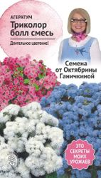 Семена Агератума Октябрина Ганичкина Триколор болл 0,1 г, вид