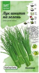 Семена Лука Детская грядка Богемия на зелень 0,5 г, детальное фото