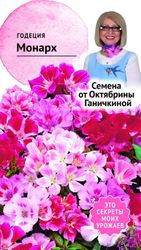 Семена Годеции Октябрина Ганичкина Монарх 0,25 г, детальное фото