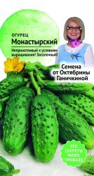 Семена Огурец Монастырский Семена от Октябрины Ганичкиной 0,3 гр, крупный план