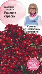Семена Гвоздики турецкой Октябрина Ганичкина Роковая страсть 0,05 г, вид