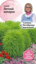 Семена Кохии Октябрина Ганичкина Big Top Летний кипарис 0,5 г, фотография