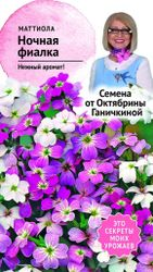 Семена Левкоя Октябрина Ганичкина Ночная фиалка 0,5 г, крупный план