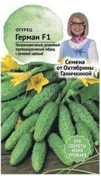 Семена Огурца Октябрина Ганичкина Герман F1 8 шт, картинка
