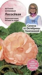 Семена Бегонии клубневой Октябрина Ганичкина лососевая 6 шт, детальное фото