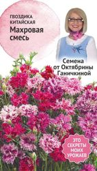 Семена Гвоздики китайской АгроСидсТрейд Махровая смесь 0,2 г, крупный план