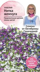 Семена Лобелия Нитка жемчуга 0,03 г Семена от Октябрины Ганичкиной, фотография