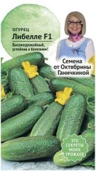 Семена Огурца Октябрина Ганичкина Либелле F1 10 шт, крупный план