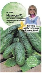 Семена Огурца Октябрина Ганичкина Маринда F1, 8шт, крупный план