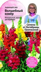 Семена Львиного зева Октябрина Ганичкина Волшебный ковер 0,05 г, крупный план