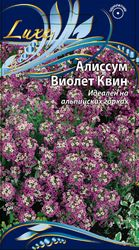 Семена Алиссум Виолет Квин 0,25г, вид