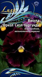 Семена Виола (Анютины глазки)  Фризл Сизл бургунди 5шт, детальное фото