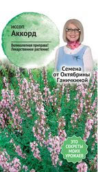 Семена Иссоп лекарственный Аккорд АСТ, изображение