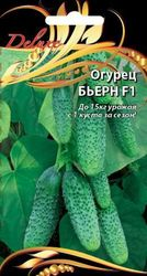 Семена Огурца Бьерн F1 0,25 г, вид