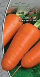 Семена Моркови Шантанэ 2г, фотография