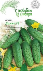 Семена Огурца Димка F1 0,25 г, фотография
