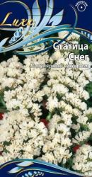 Семена статица снег 0,2 г, картинка