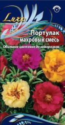 Семена портулак махровая смесь 0,2 г, изображение