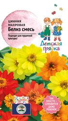 Семена Цинния Белиз смесь ДГ 5 шт, фото